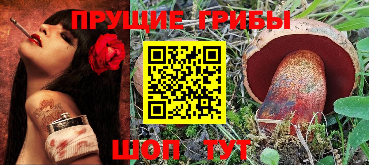 Псилоцибиновые грибы MAGIC MUSHROOMS  Вход с VPN  Кумертау 